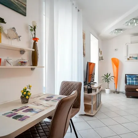 Moje * 奥库格哥恩基